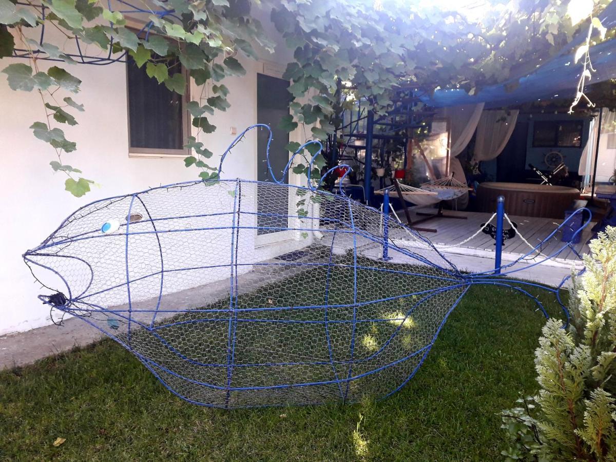 Casa Babica Guesthouse Costinesti Luaran gambar